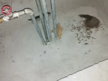 阿勒泰地卫生间测漏水价格明细